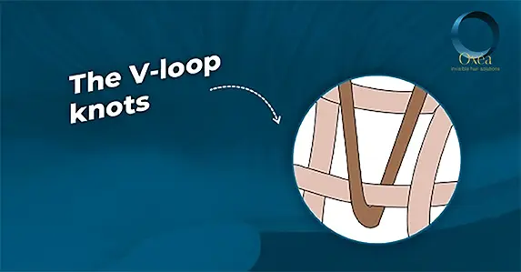 The V-loop knots