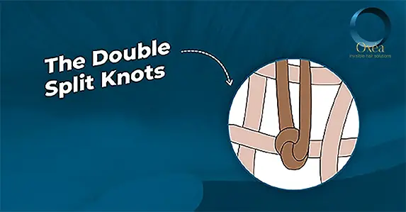 The double split knots