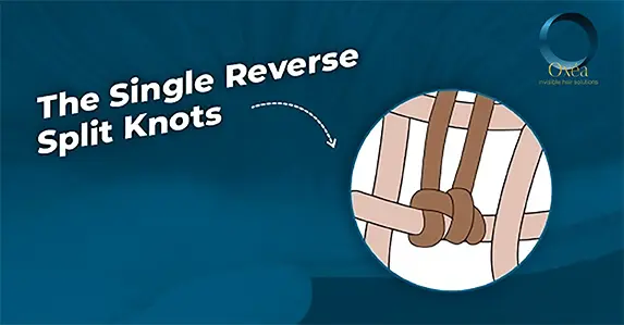 The single reverse split knots